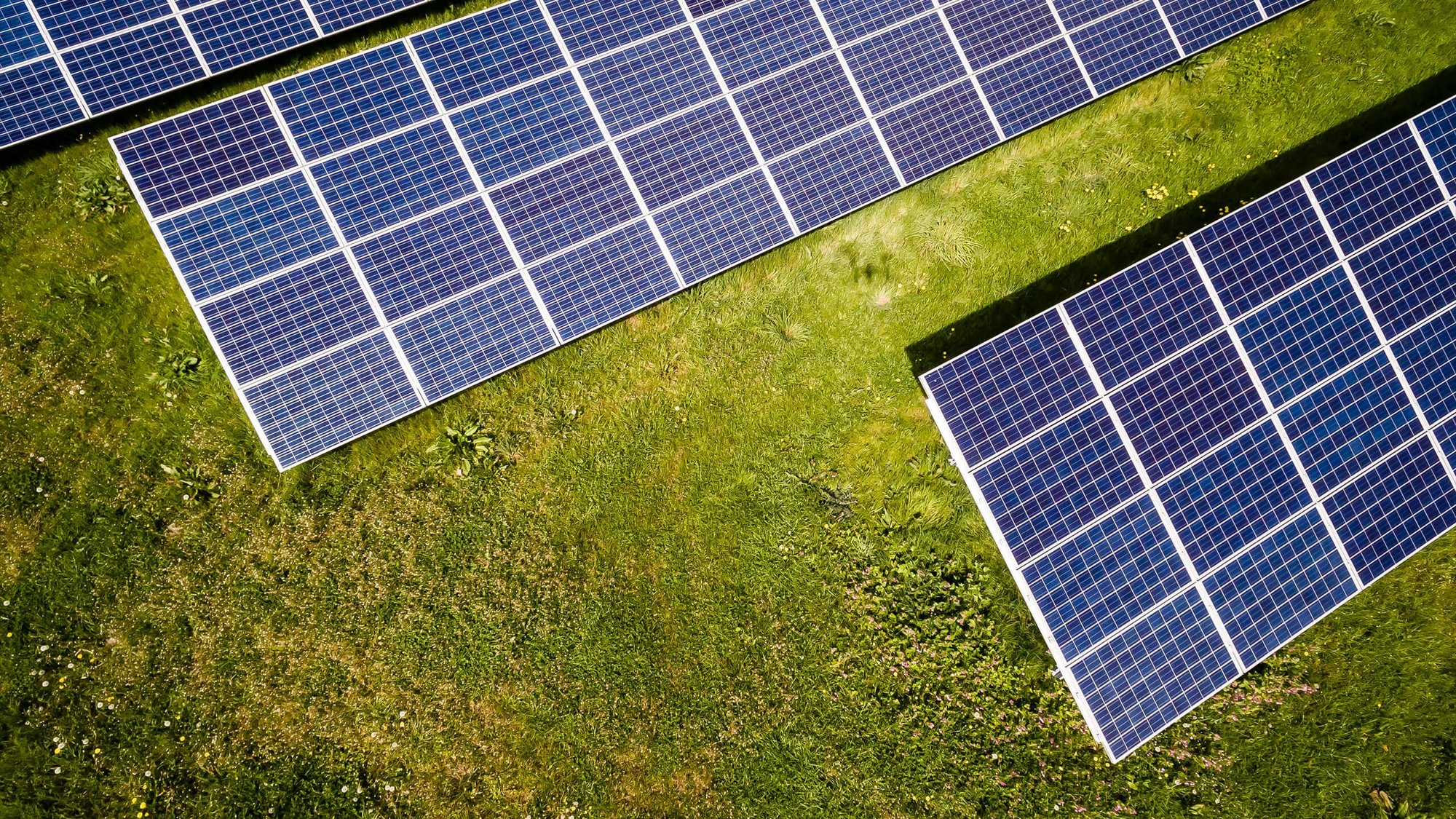 Photovoltaikanlagen auf einer Wiese